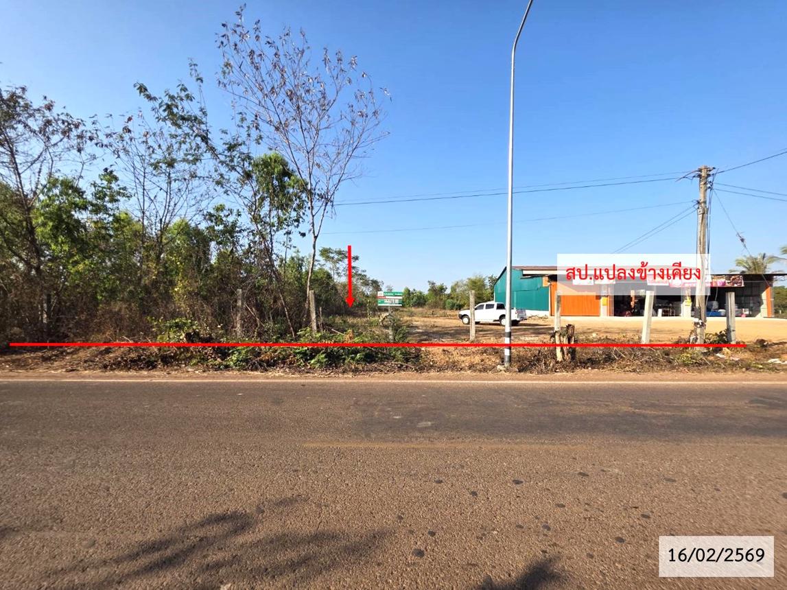 ที่ดินว่างเปล่า สกุลนาค ริมน้ำมูล