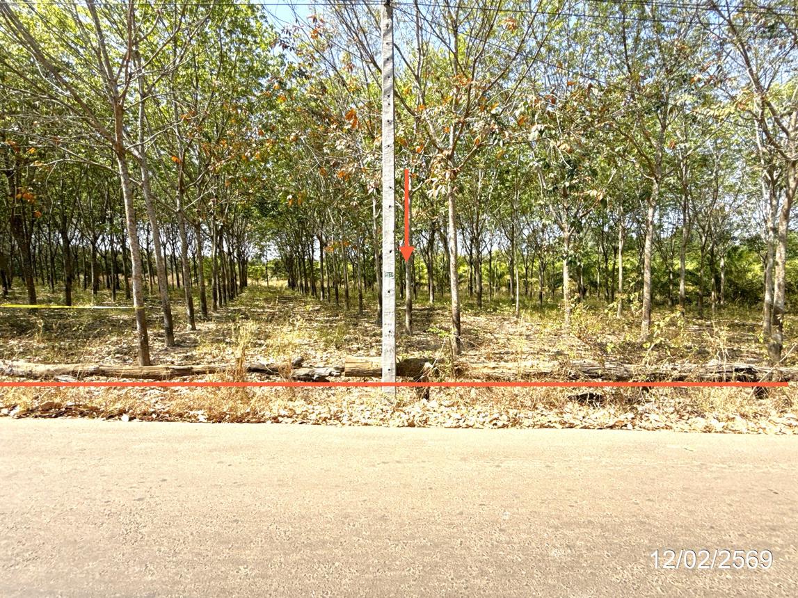 ที่ดินว่างเปล่า ตระการพืชผล อุบลราชธานี Ville de Champs d'Ubon