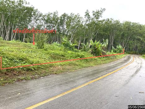 ที่ดินว่างเปล่า ตรัง