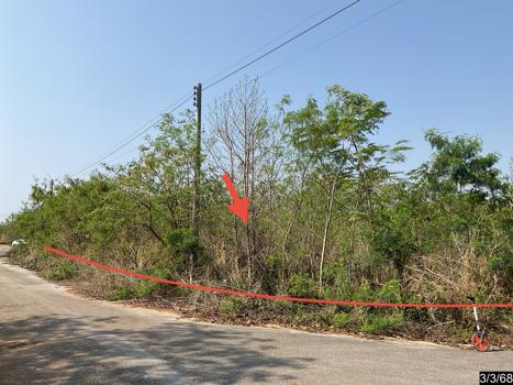 ที่ดินว่างเปล่า นครราชสีมา