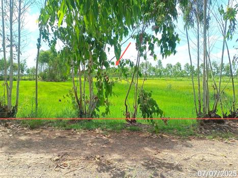 ที่ดินว่างเปล่า ยโสธร