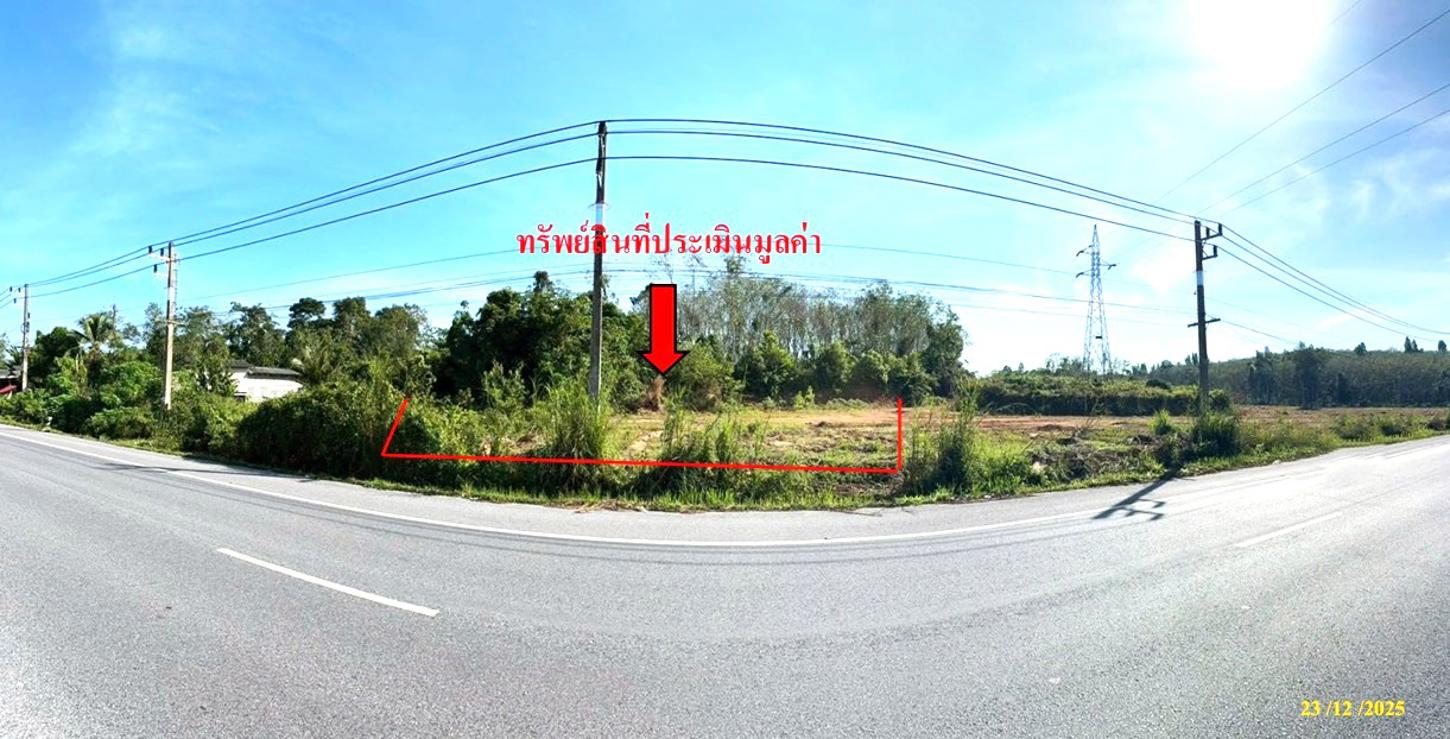 ที่ดินว่างเปล่า รามัน ยะลา