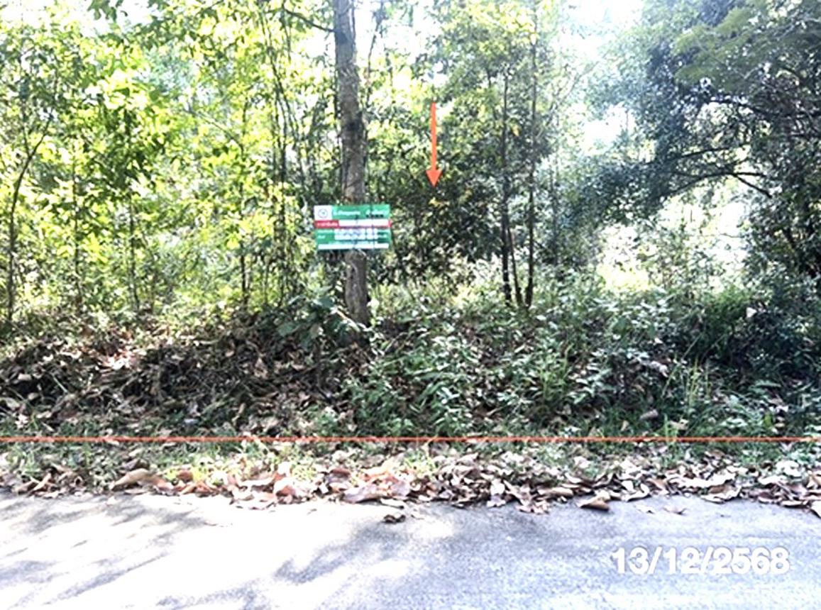 ที่ดินว่างเปล่าในพิบูลมังสาหาร อุบลราชธานี