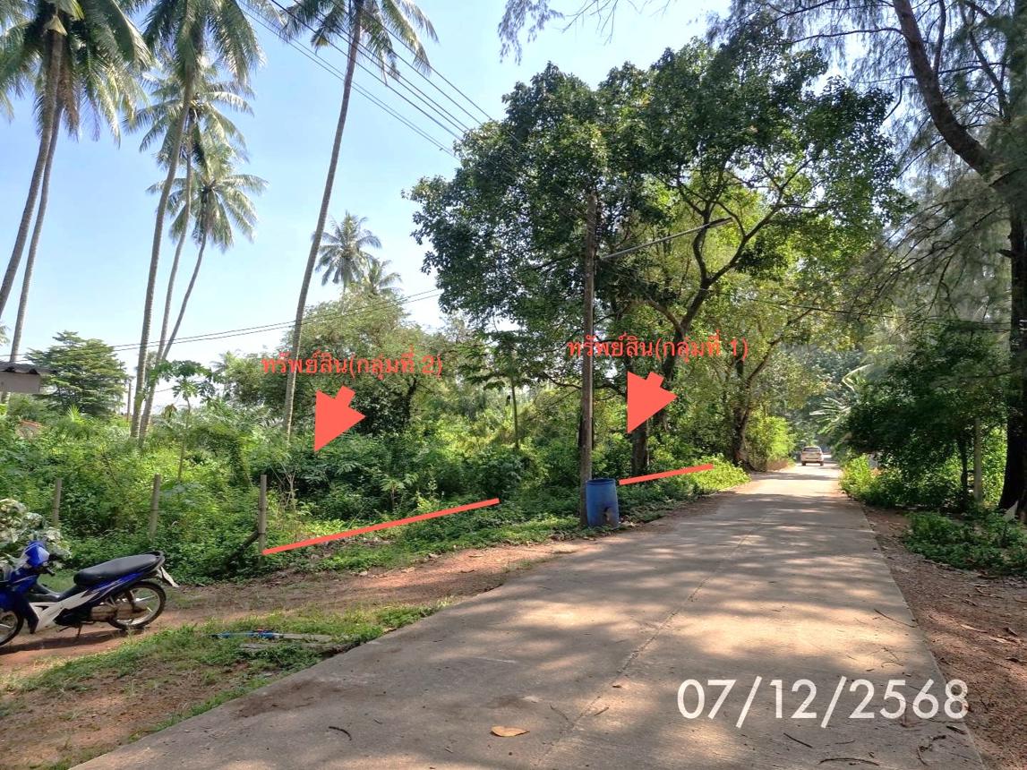 ที่ดินว่างเปล่า หาดสำราญ ตรัง