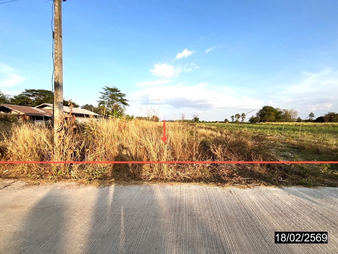 ที่ดินว่างเปล่า หนองกุงศรี กาฬสินธุ์