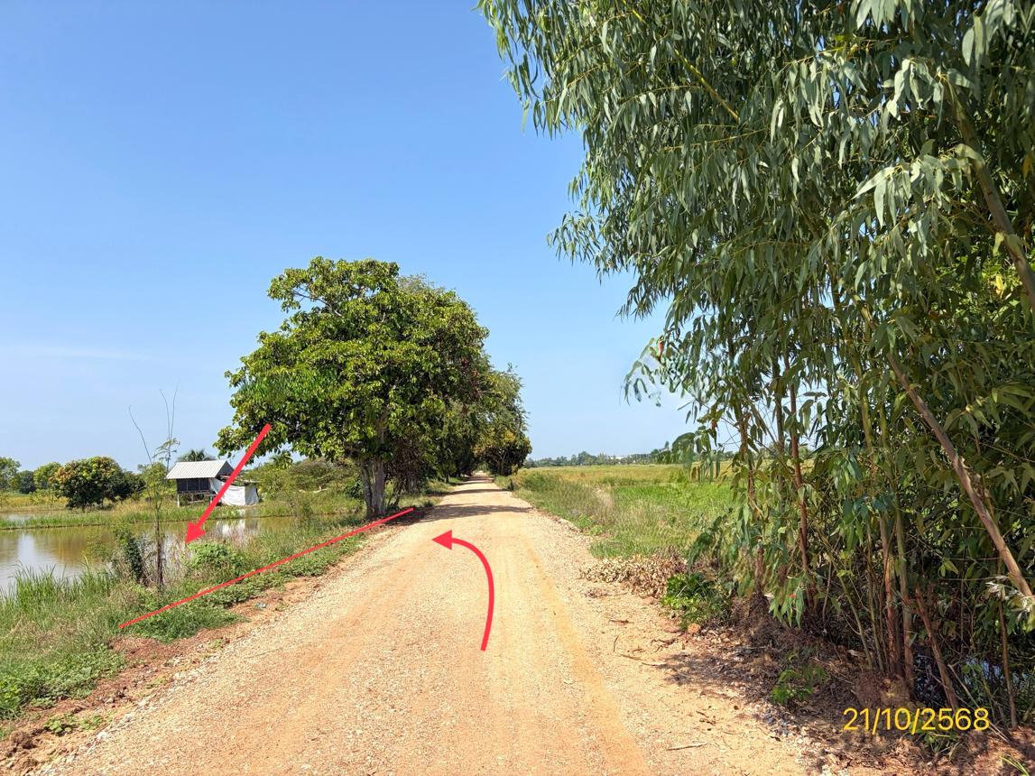 ที่ดินว่างเปล่า พรหมพิราม พิษณุโลก