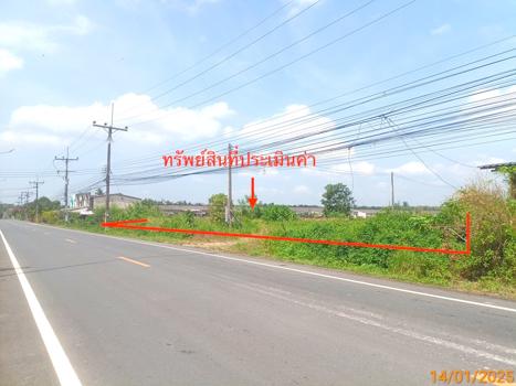 ที่ดินว่างเปล่า สตูล