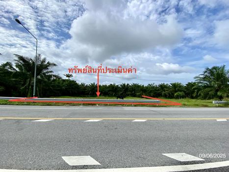 ที่ดินว่างเปล่า ตรัง