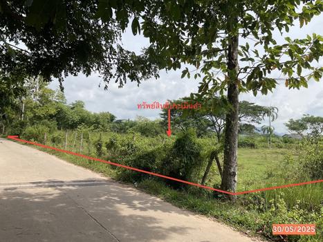 ที่ดินว่างเปล่า ตรัง