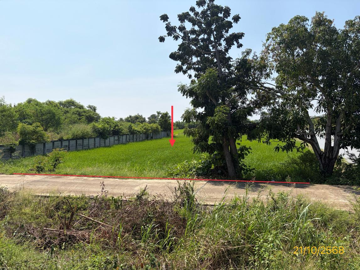 ที่ดินว่างเปล่า พรหมพิราม พิษณุโลก