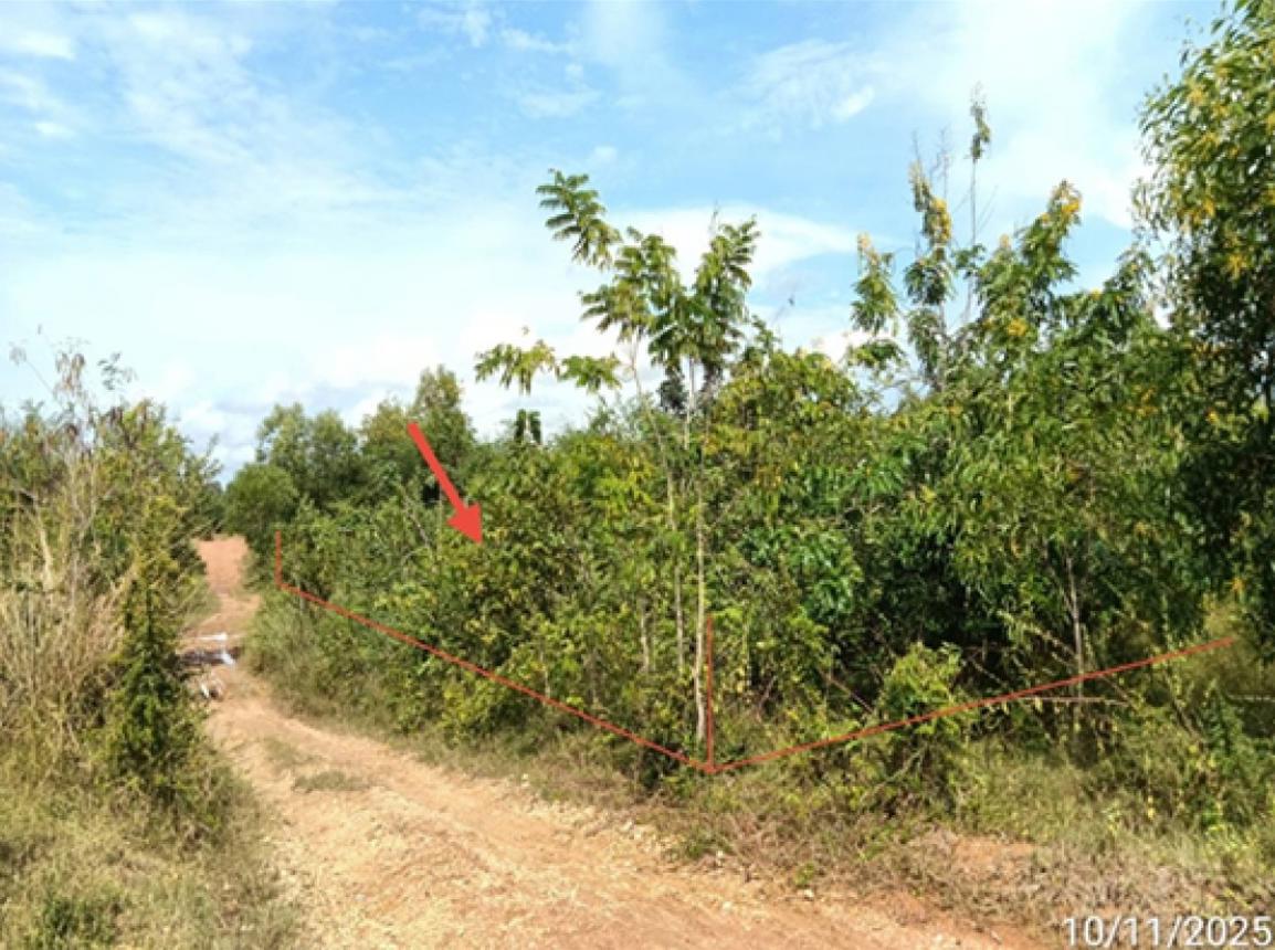 ที่ดินว่างเปล่า ร้องกวาง แพร่