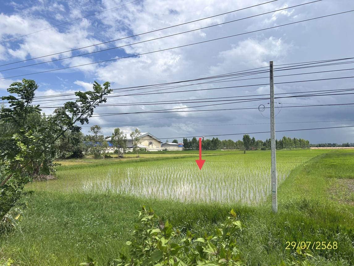 ที่ดินว่างเปล่า จังหวัดยโสธร