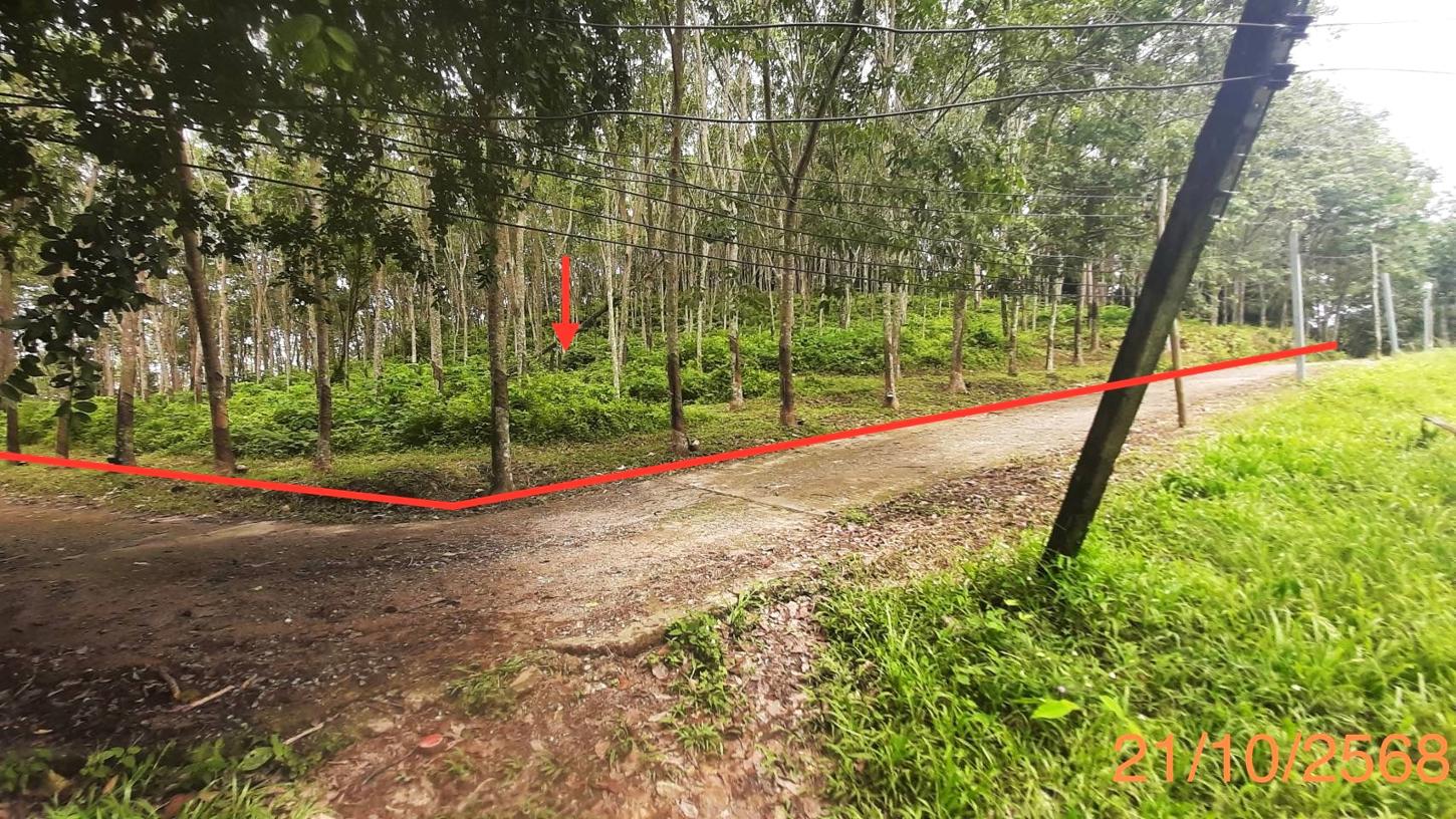 ที่ดินว่างเปล่า ติดทะเล ถลาง ภูเก็ต