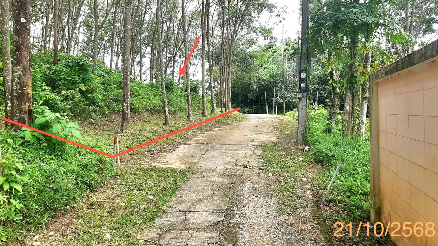 ที่ดินว่างเปล่า ถลาง ภูเก็ต
