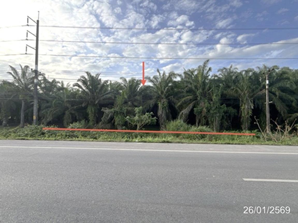 ที่ดินว่างเปล่า พุนพิน จังหวัดสุราษฎร์ธานี