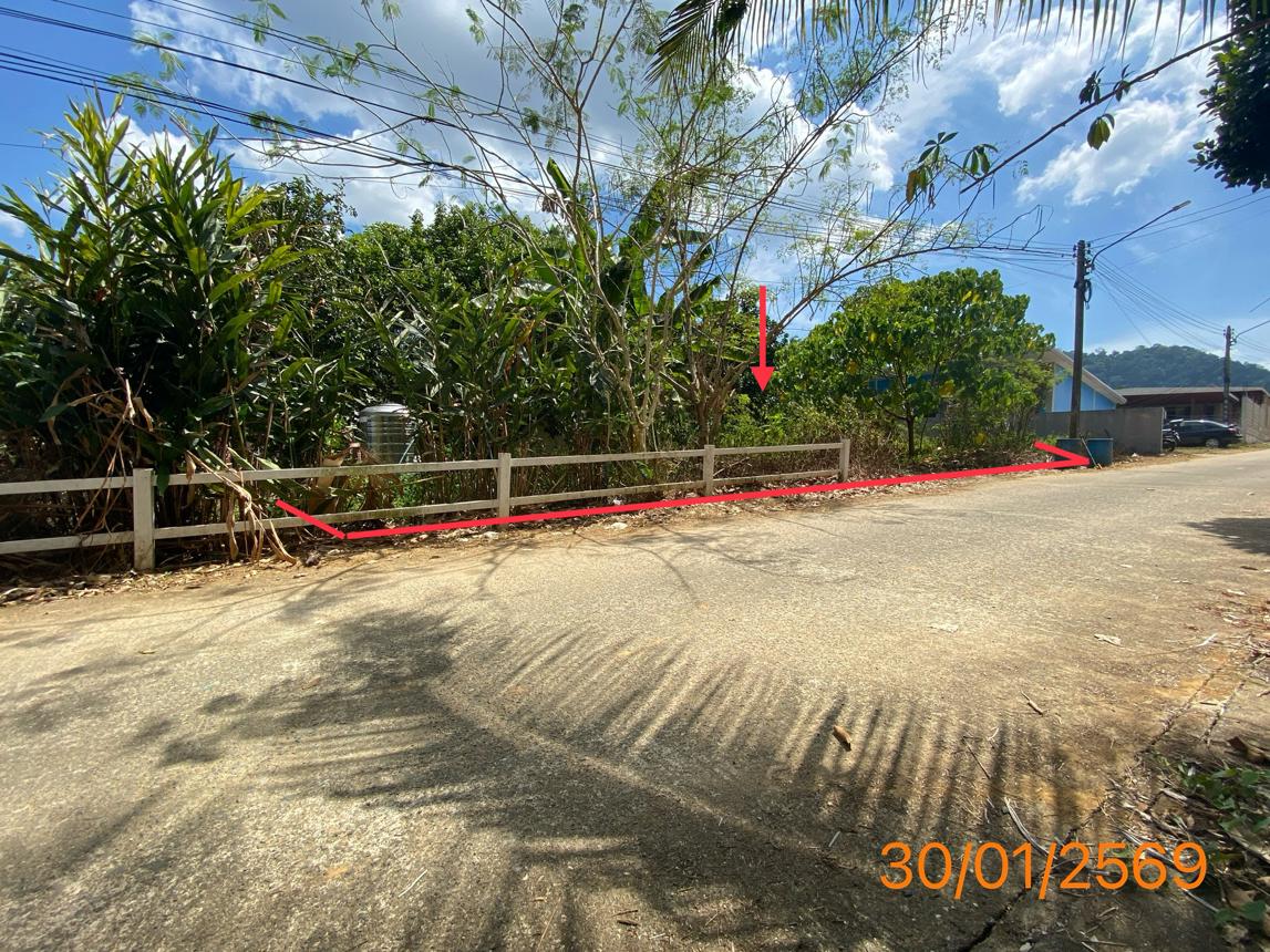 ที่ดินว่างเปล่า ตะกั่วป่า พังงา
