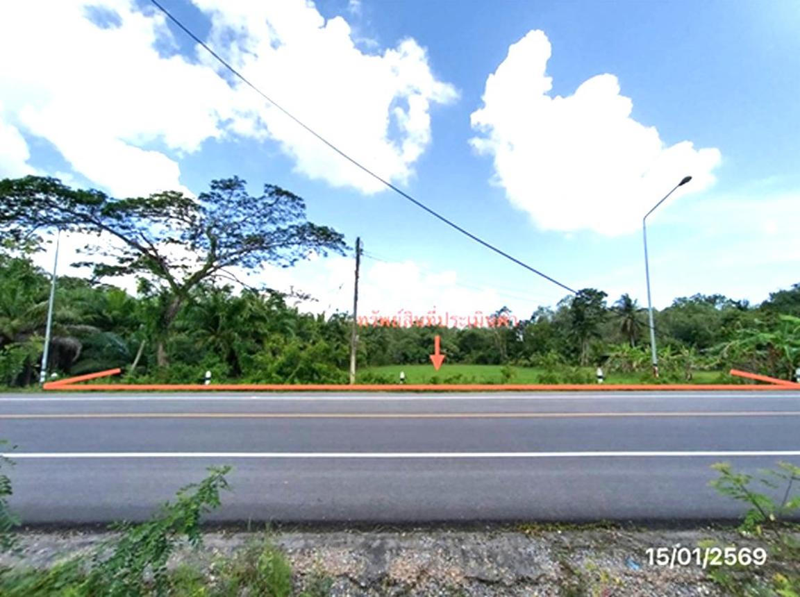 ที่ดินว่างเปล่า เขาชัยสน พัทลุง