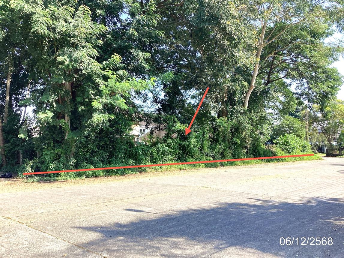 ที่ดินว่างเปล่า เมืองเชียงราย เชียงราย
(เป็นไปได้ว่าอาจมีข้อมูลเพิ่มเติมที่ไม่ได้ถูกแปล)