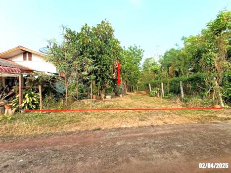 ที่ดินว่างเปล่า เลย