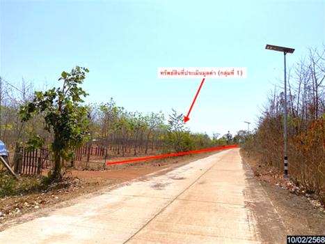 ที่ดินว่างเปล่า สกลนคร