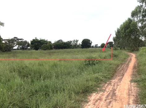 ที่ดินว่างเปล่า ยโสธร
