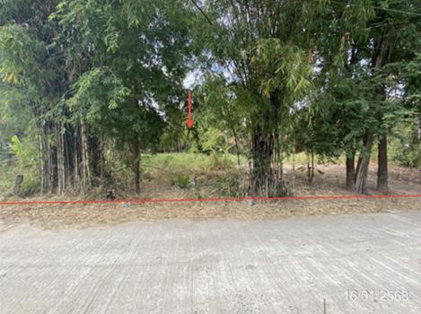 ที่ดินว่างเปล่า มหาสารคาม