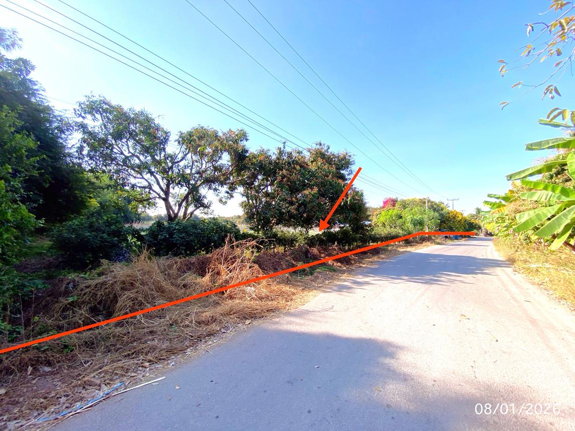 ที่ดินว่างเปล่า ในพื้นที่ปากท่อ จังหวัดราชบุรี