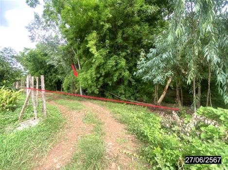 ที่ดินว่างเปล่า อุดรธานี