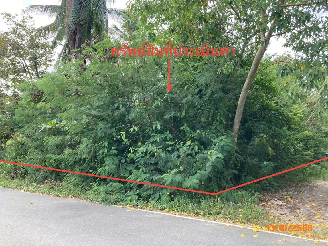 ที่ดินว่างเปล่า ดอนสัก สุราษฎร์ธานี
