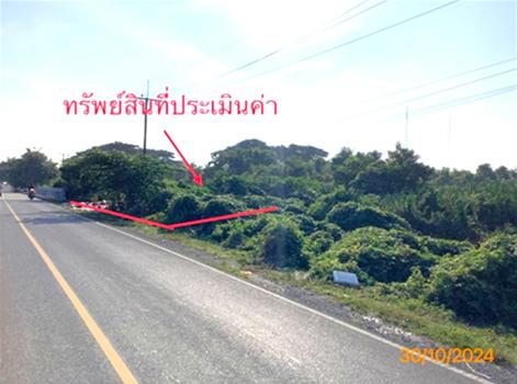 ที่ดินว่างเปล่า นครศรีธรรมราช