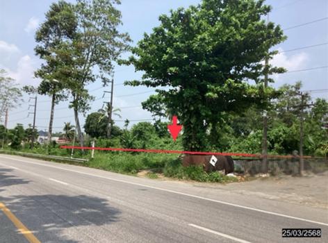ที่ดินว่างเปล่า ชุมพร