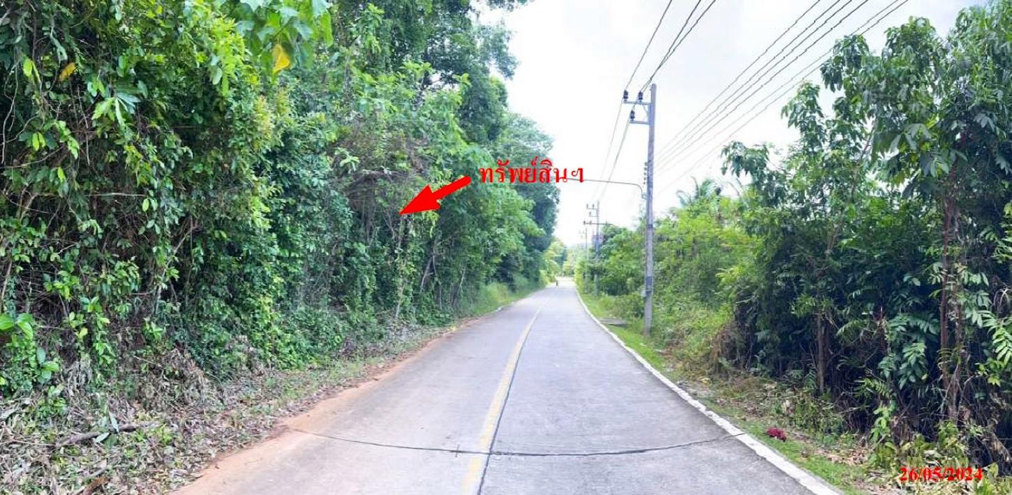 ที่ดิน ภูเก็ต