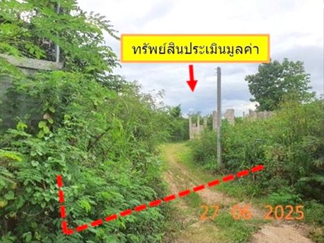 ที่ดินว่างเปล่า ลำพูน