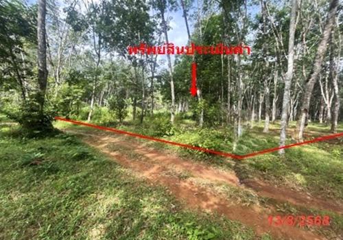 ที่ดินว่างเปล่า ตรัง