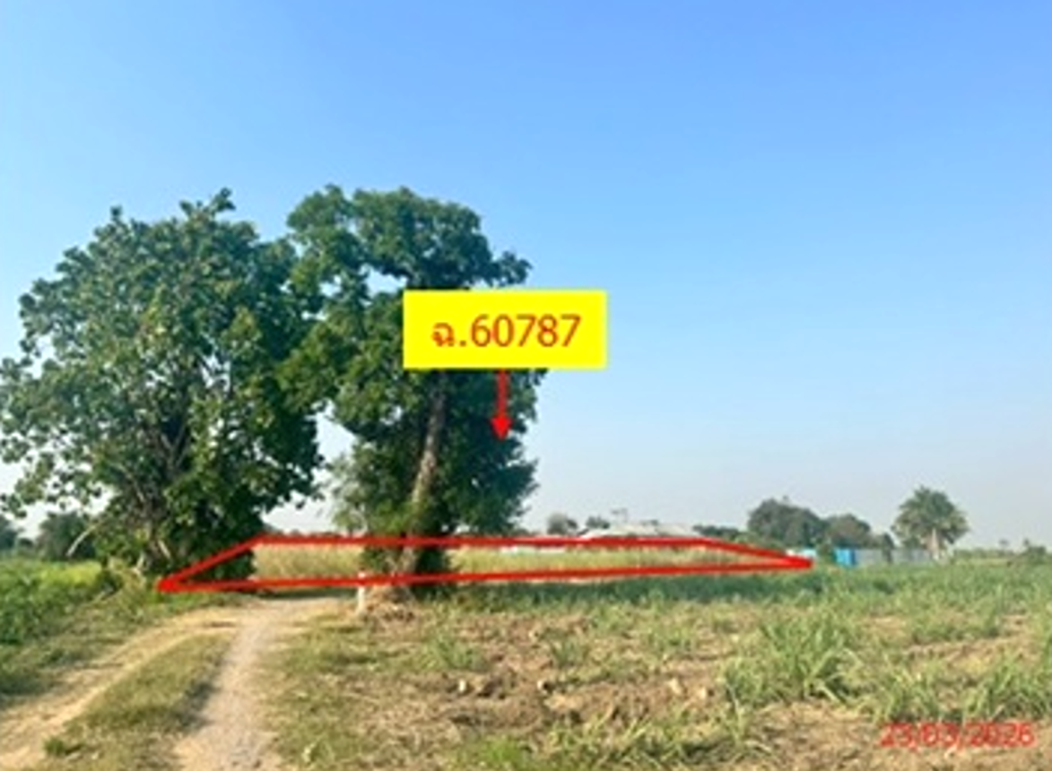 ที่ดินว่างเปล่า เมืองนครสวรรค์ นครสวรรค์ เป็นที่ดินเปล่าๆ ตั้งอยู่ในเมืองนครสวรรค์