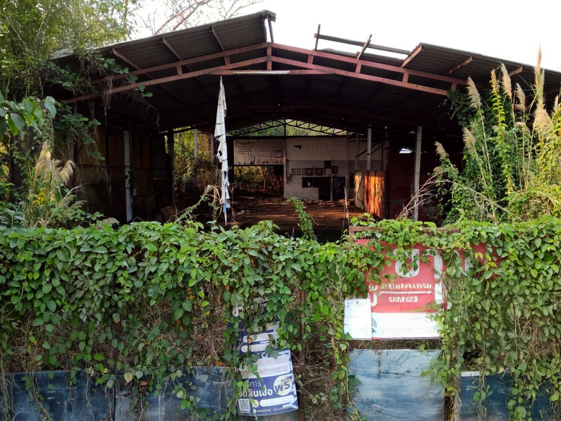 บ้านเดี่ยว นอกโครงการสุราษฎร์ธานี เมืองสุราษฎร์ธานี สุราษฎร์ธานี
