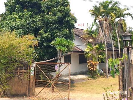 บ้านเดี่ยว เชียงใหม่
