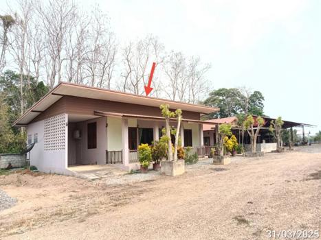 บ้านเดี่ยว แพร่