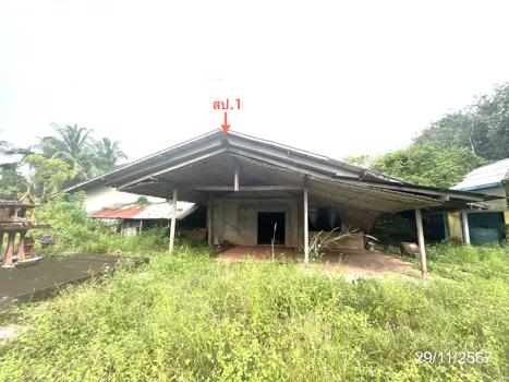 บ้านเดี่ยว สุราษฎร์ธานี