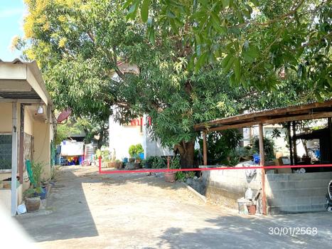 บ้านเดี่ยว ปทุมธานี