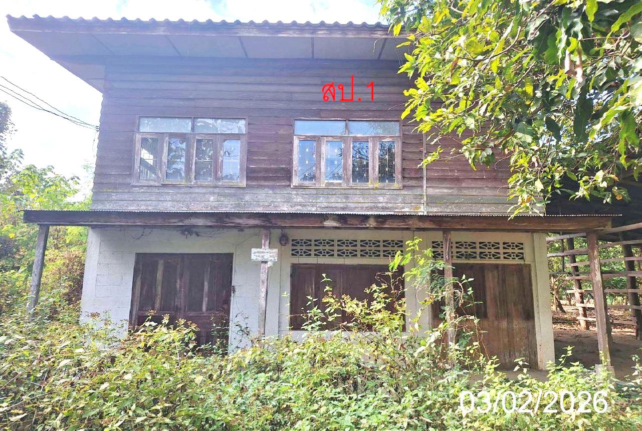 บ้านเดี่ยว บ้านโฮ่ง ลำพูน - บ้านสไตล์โมเดิร์น 2 ชั้น 3 ห้องนอน 3 ห้องน้ำ