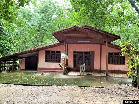 บ้านเดี่ยว เลย