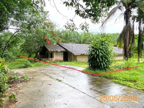 บ้านเดี่ยว พังงา