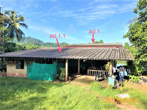 บ้านเดี่ยว พังงา
