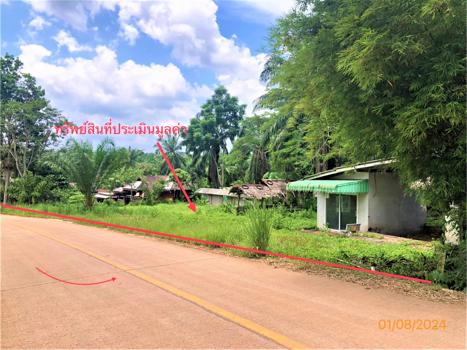 บ้านเดี่ยว สุราษฎร์ธานี
