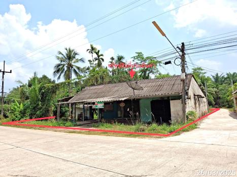 บ้านเดี่ยว สุราษฎร์ธานี