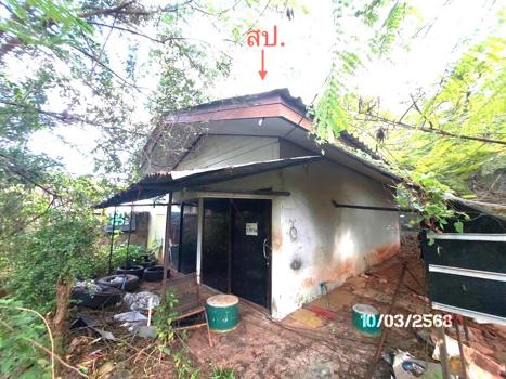 บ้านเดี่ยว สุราษฎร์ธานี