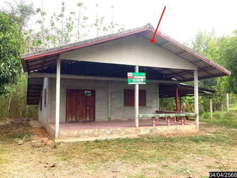 บ้านเดี่ยว เลย