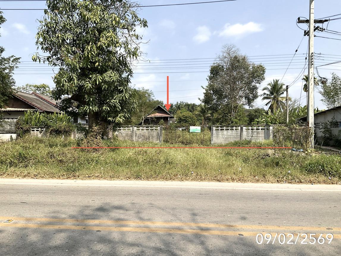 บ้านเดี่ยว ต้นไม้ใหญ่ ใจกลางเมืองเชียงราย