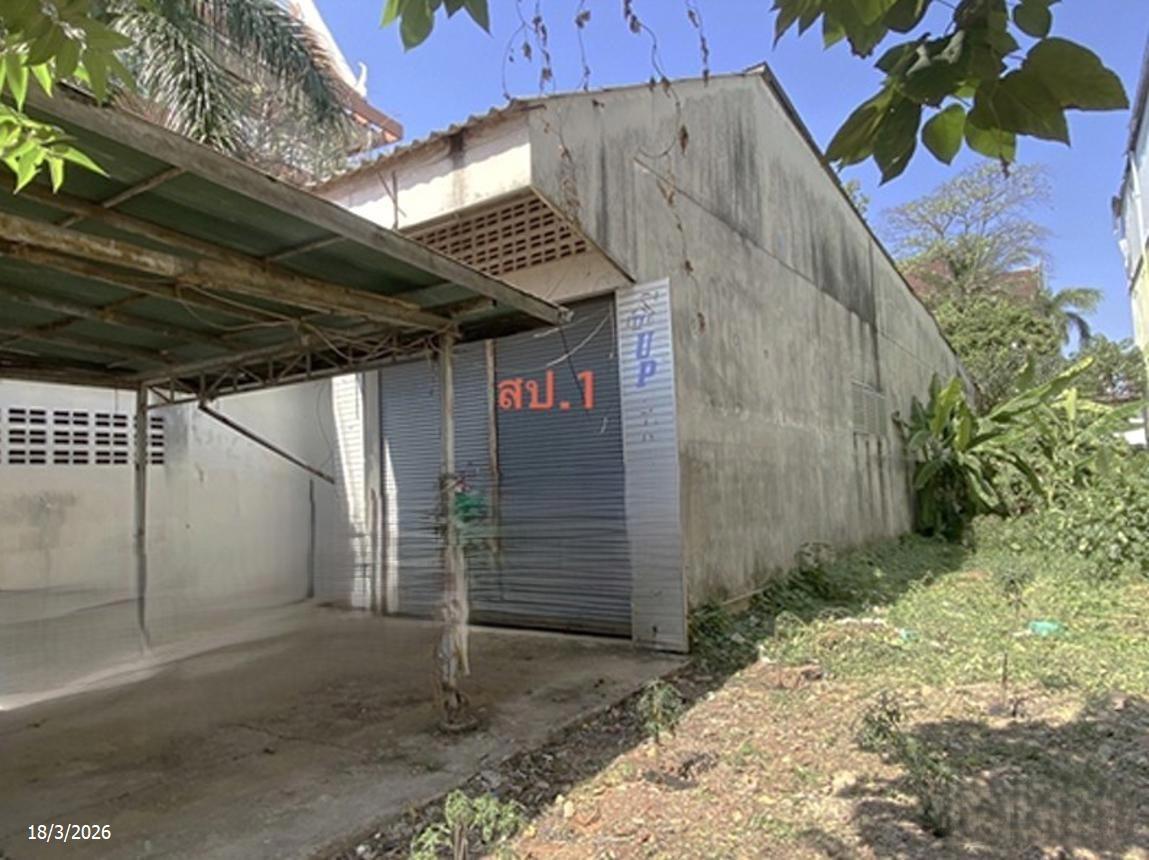 บ้านเดี่ยว ที่ดิน 40 ไร่ เมืองหนองคาย